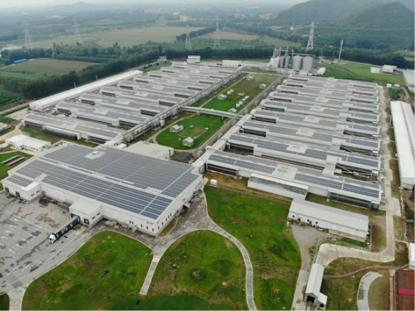 “掘金”下一个风口: 乐天堂fun88集团电力为正大蛋业5.46MW屋顶项目提供综合解决方案