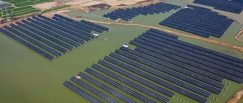  赵立坚微博点赞渔光互补模式乐天堂fun88集团滁州项目再受关注